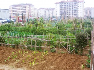 “Orti sociali in provincia? “Venite a imparare da noi”