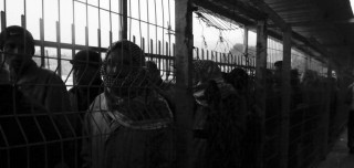 La questione palestinese