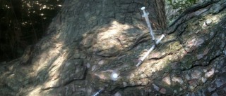 “Concorrenti solo degli spacciatori”