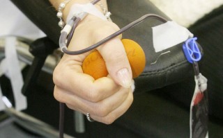 Midollo osseo, donarlo per salvare la vita