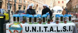 Per fare il bene ci vuole l’albero