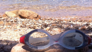 “Arrileggerci” a settembre con tante novità!