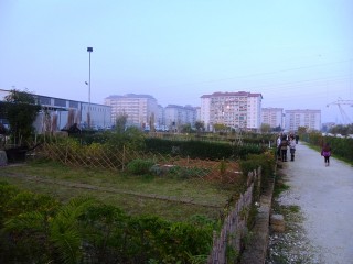 Via il giardino, in città arriva l’orto