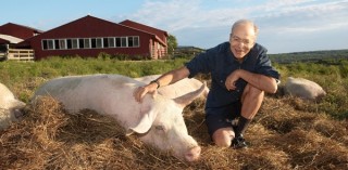 L’animalità del male