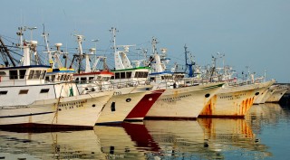 Sul ring “etico” del porto canale