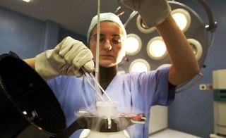 Congelamento ovuli: “Una forma di sterilizzazione per donne che lavorano”