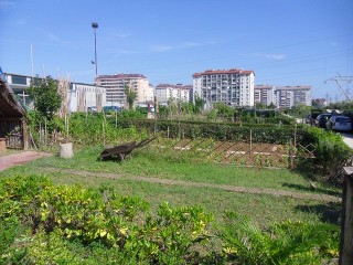 Un orto per riqualificare la periferia pescarese
