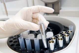 Staminali non embrionali: sì dei vescovi europei