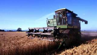 Cambiamenti climatici: “Nel 2015 crollerà la produzione made in Italy”