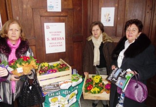 Una primula per difendere la vita