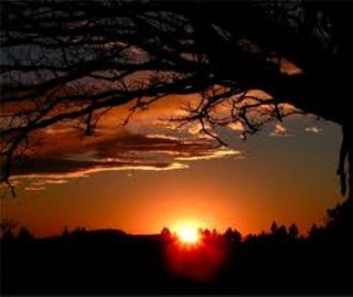 “Fragilità e Speranza” – La Gioia di amare – parte seconda