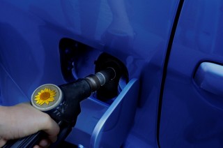 Un premio alle scuole ecosostenibili