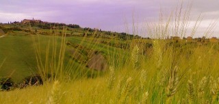 “Agricoltura e turismo pagano la pazza estate”