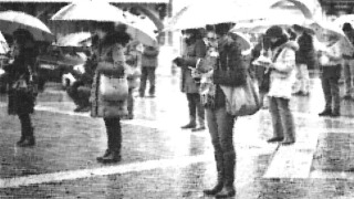 La violenza dei taciti