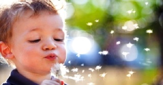 Allergie infantili: si prevengono con probiotici, animali, latte e sole