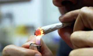 Legalizzazione della Cannabis: “Un’irresponsabilità di Stato”