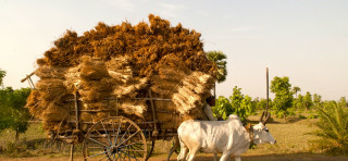 Altro gesuita, stesso grido: “Terra, tetto e lavoro”