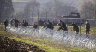 Vengo anch’io? No tu no.