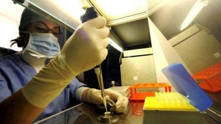 “Le coppie cercano tardi la gravidanza, ricorrendo a procreazione assistita”