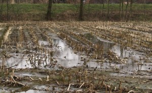 Sisma e maltempo: 52 milioni di danni subiti dalle aziende agricole