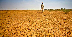 Cambiamenti climatici: “52 milioni di africani rischiano di morire di fame”