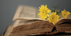 Un libro in biblioteca? Sì, grazie!