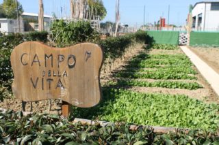 Orti d’oro Allegrino: domande fino al 10 ottobre