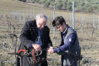 Senzatetto a lezione di potatura per tornare a lavorare