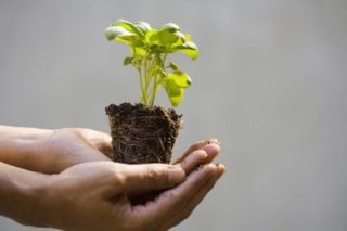 Laudato si’: da stasera a Pescara un ciclo di incontri mensili sull’ecologia