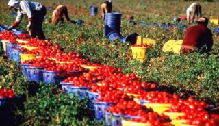 Lavoro: “Azzerare l’irregolarità significa dare sicurezza a tutti”