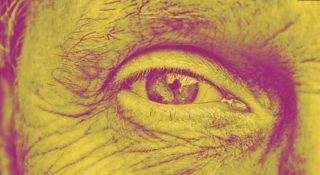 The economy of Francesco: 12 video per un’economia a misura d’uomo