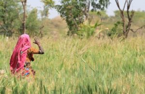 “Promuovere l’agricoltura tradizionale, quella industriale crea esclusione”