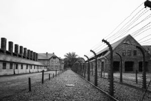 Shoah: “Un monito fondamentale per il futuro dell’Europa”