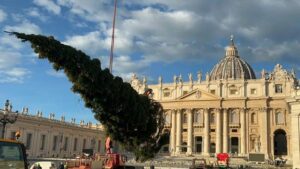 Le tre vite dell’albero di Natale di San Pietro